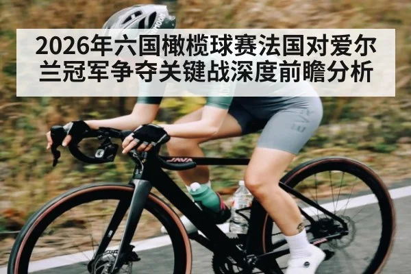 2026年六国橄榄球赛法国对爱尔兰冠军争夺关键战深度前瞻分析